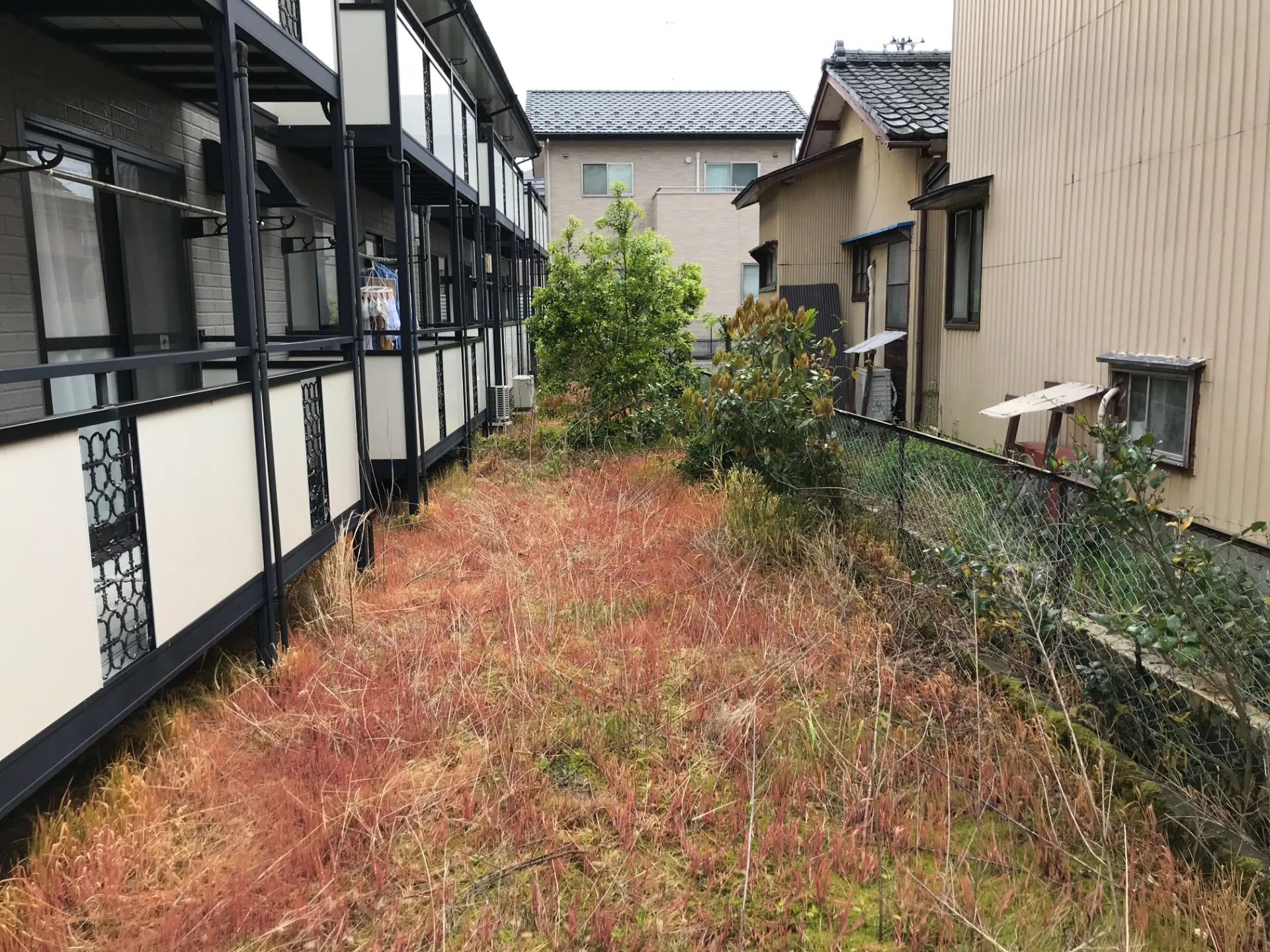 【新潟市でお庭の手入れ困っている方必見！】外構工事は足元から